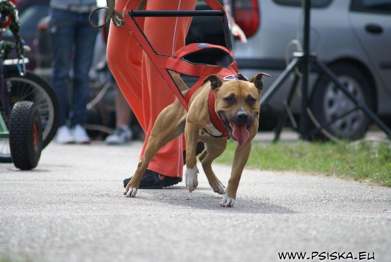 BETTYNA SPRINT.jpg