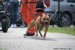 BETTYNA SPRINT.jpg